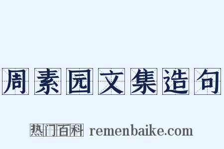 周素园文集造句是什么意思的图片